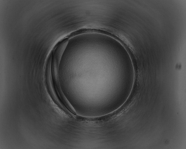 X0000091640976200708301355