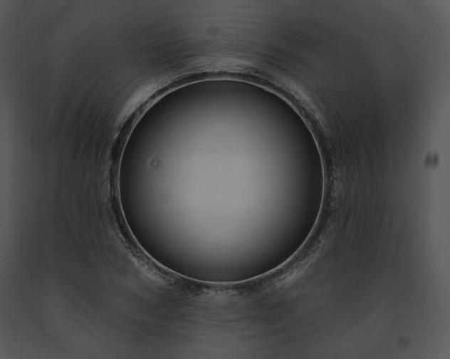 X0000091640978200708301355