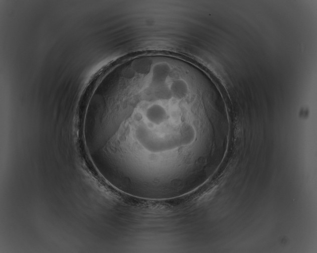 X0000091640979200708301355
