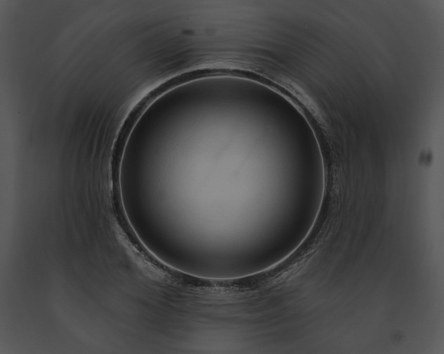 X0000091640980200708301355