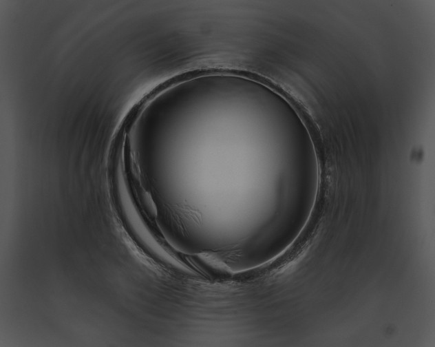 X0000091640981200708301355