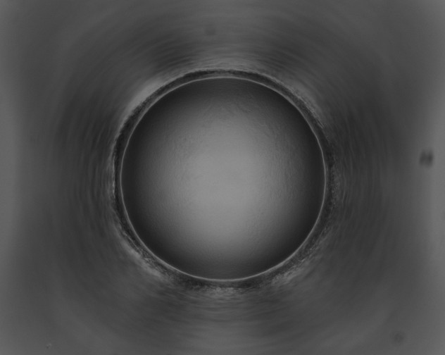X0000091640982200708301355
