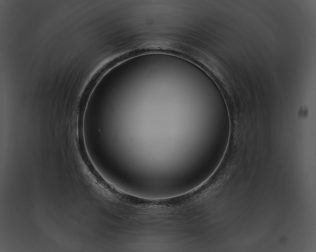 X0000091640984200708301355