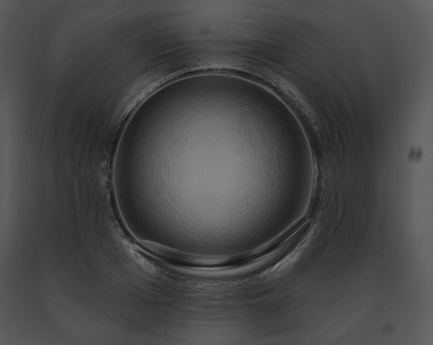 X0000091640985200708301355