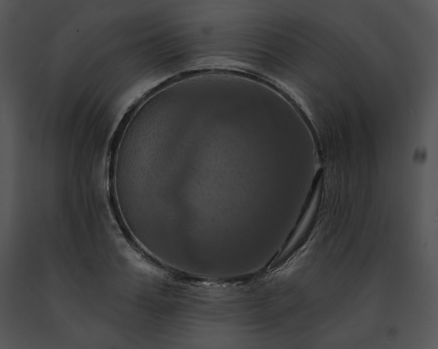 X0000091640987200708301355