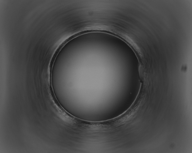 X0000091640988200708301355