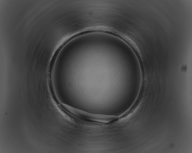 X0000091640989200708301355