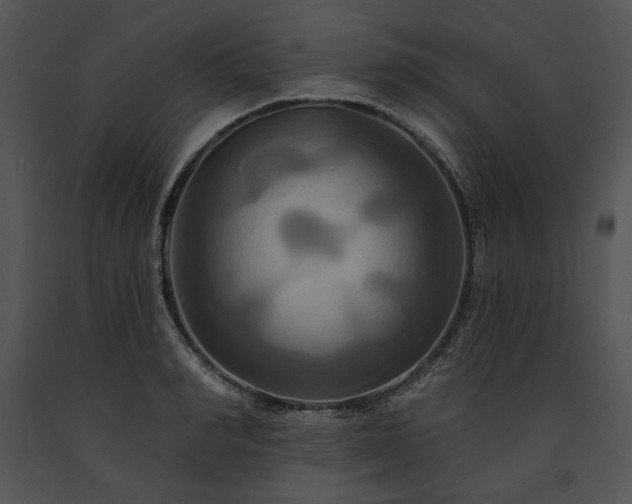 X0000091640990200708301355