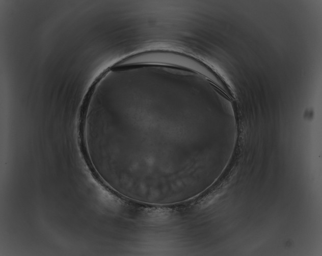 X0000091640991200708301355