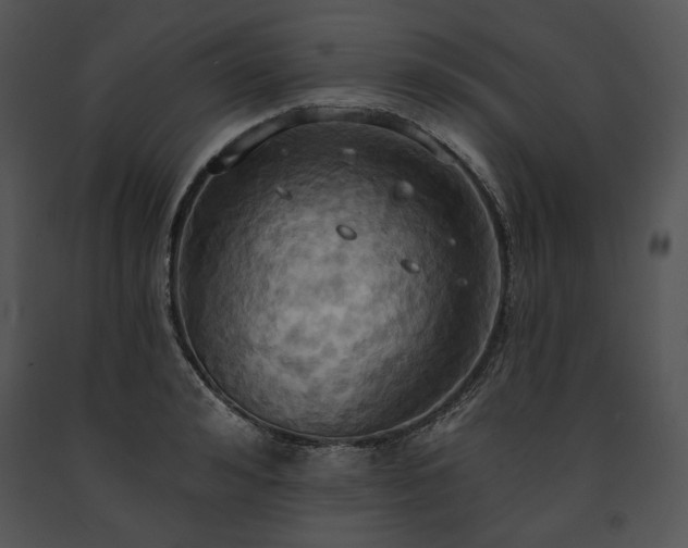 X0000091640992200708301355
