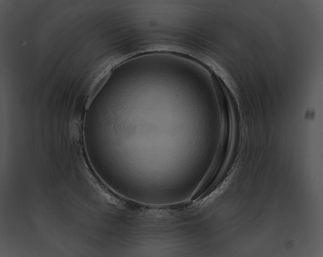 X0000091640993200708301355