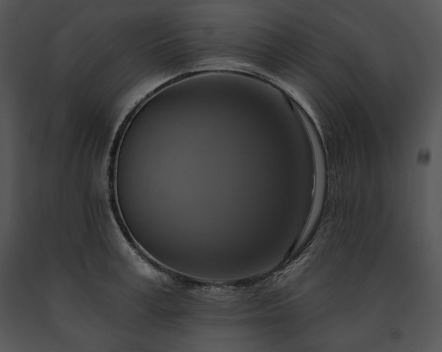 X0000091640995200708301355