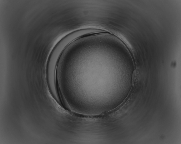X0000091640996200708301355