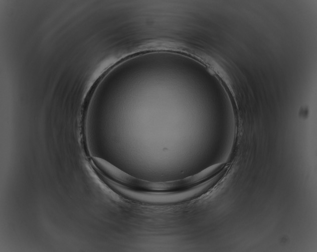 X0000091640997200708301355