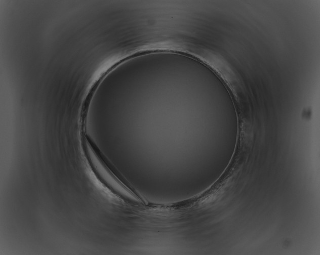 X0000091640998200708301355