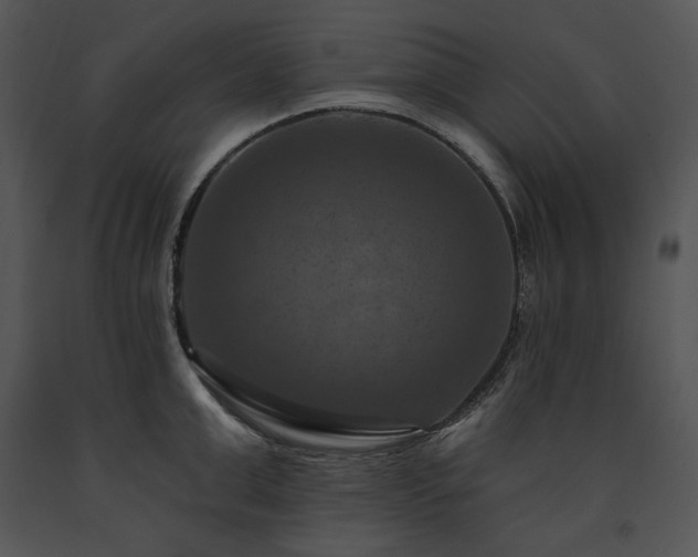 X0000091640999200708301355