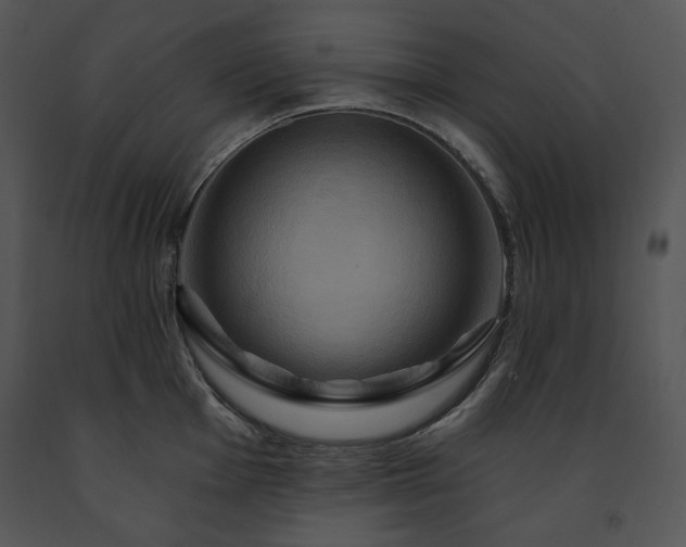 X0000091641001200708301355