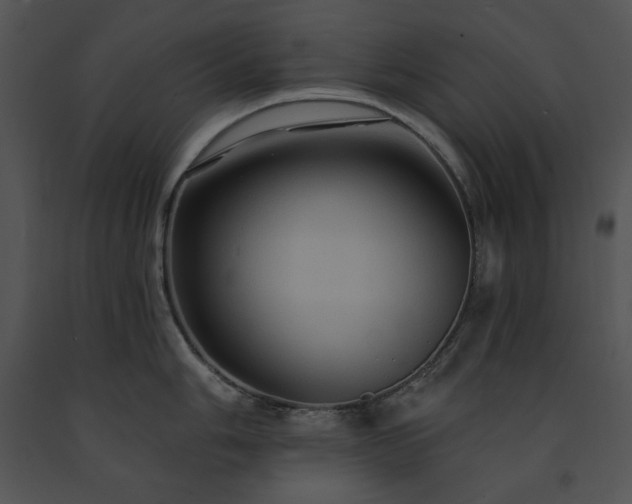 X0000091641006200708301354