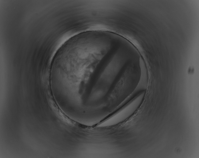 X0000091641008200708301354