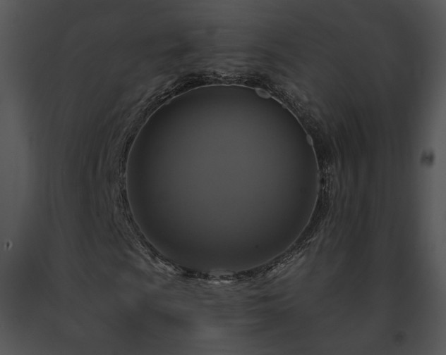 X0000091641009200708301354