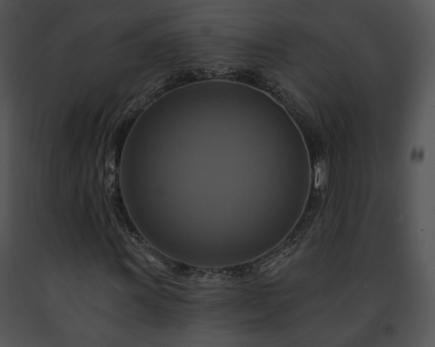 X0000091641011200708301354