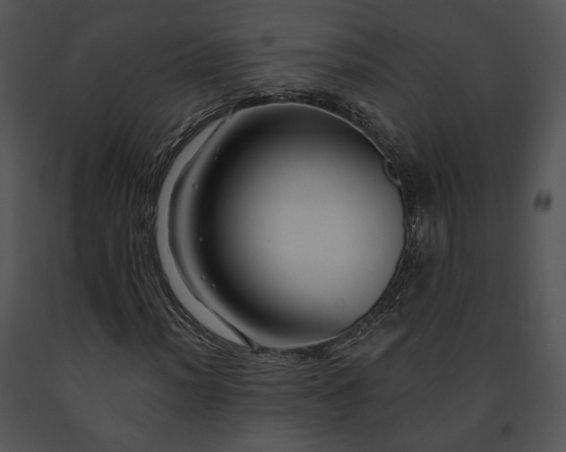 X0000091641012200708301354