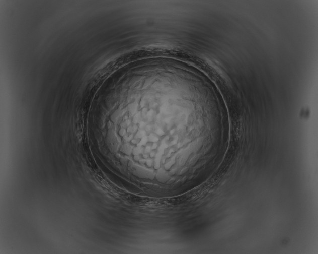 X0000091641015200708301354