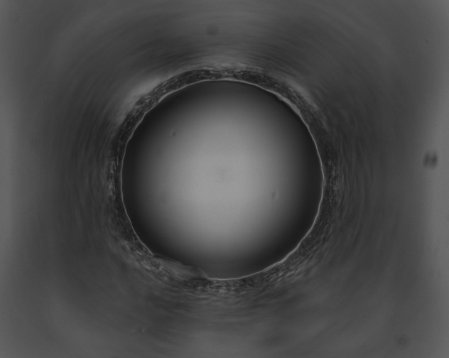 X0000091641016200708301354