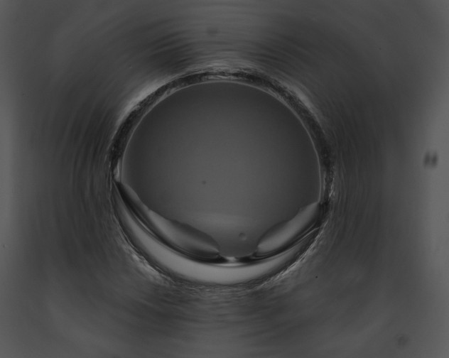 X0000091641018200708301354