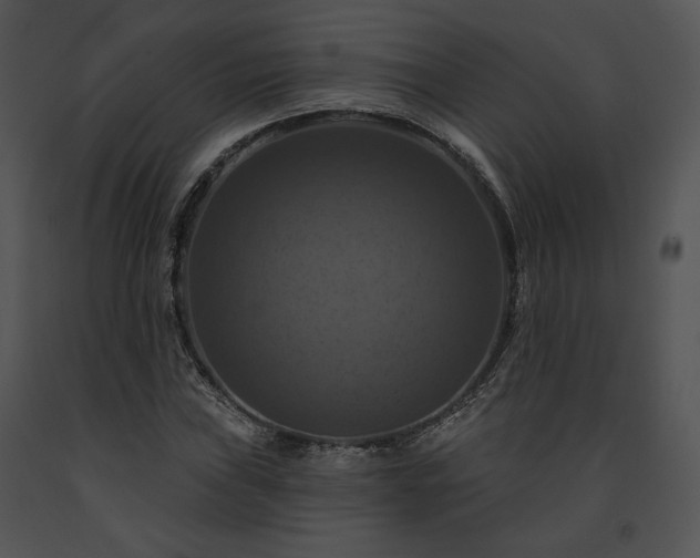 X0000091641019200708301354