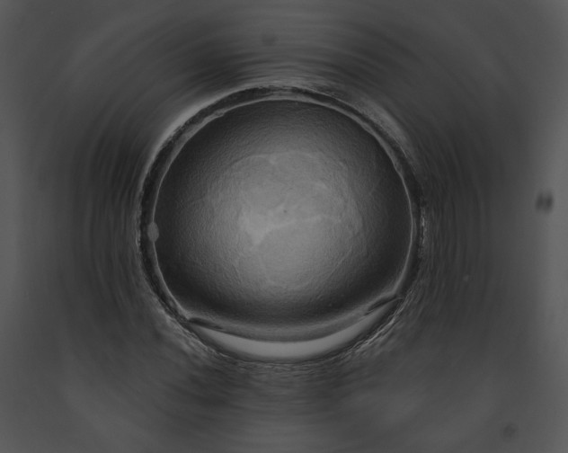 X0000091641020200708301354