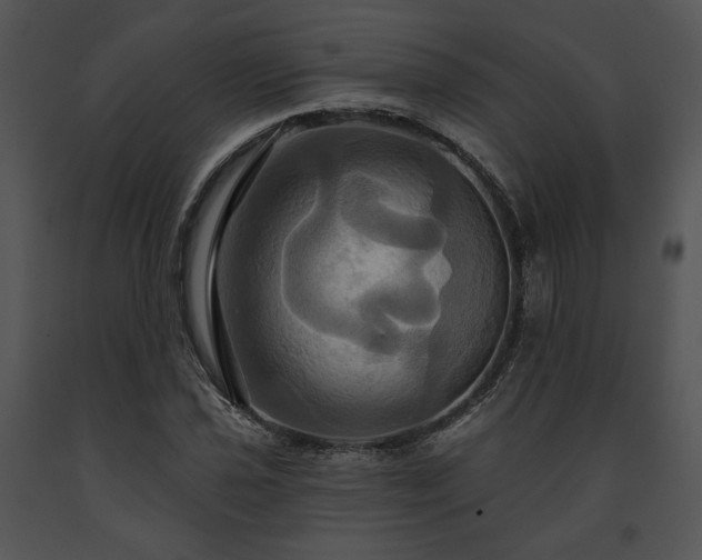 X0000091641021200708301354
