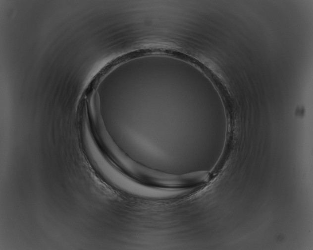X0000091641022200708301354