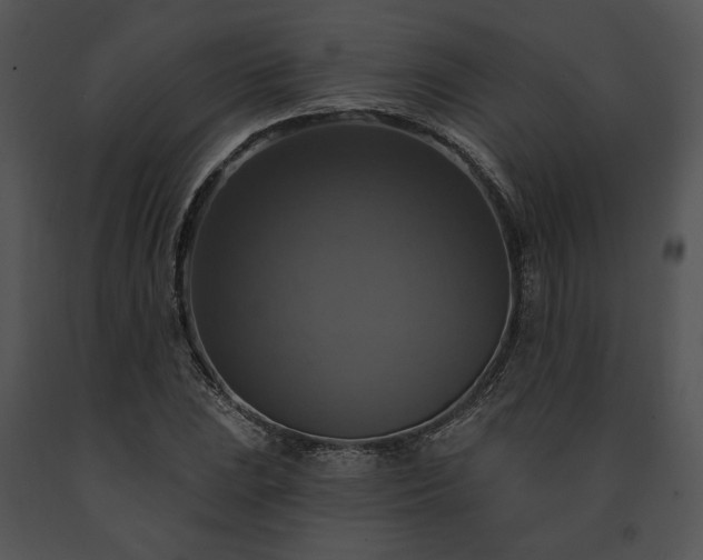 X0000091641023200708301354