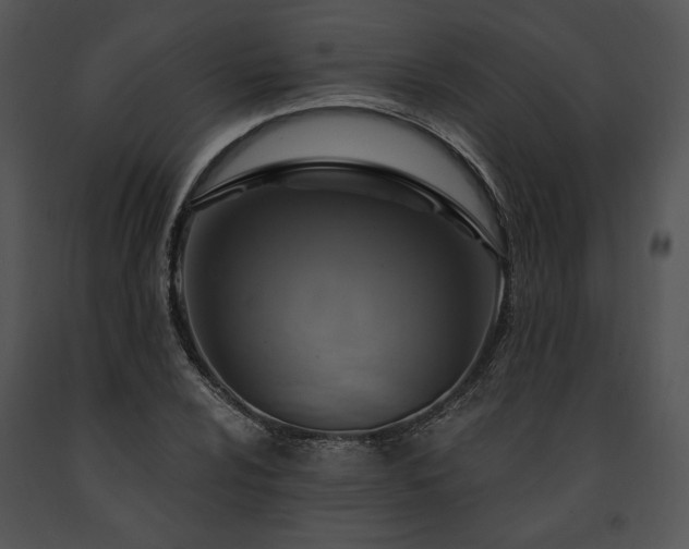 X0000091641024200708301354