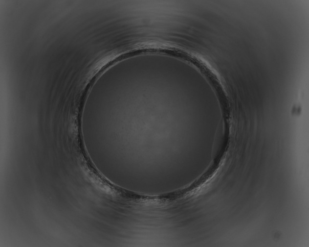 X0000091641025200708301354