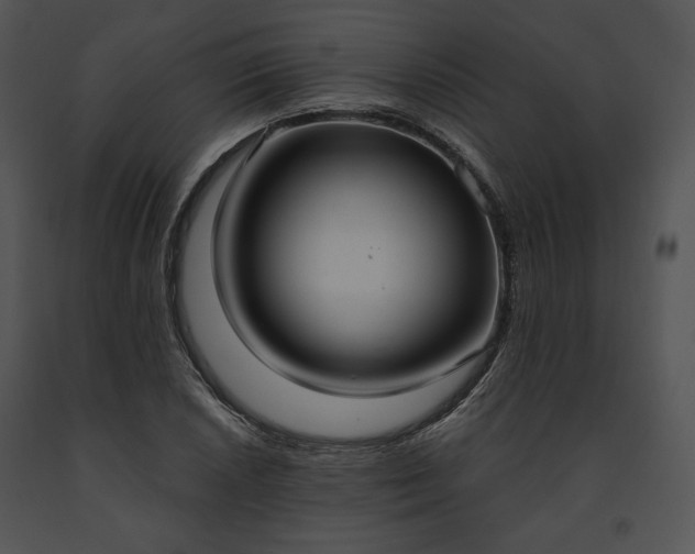 X0000091641026200708301354