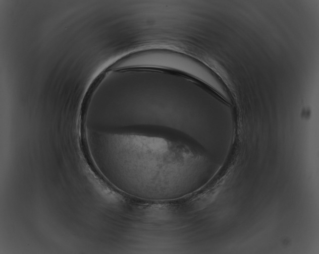 X0000091641028200708301354