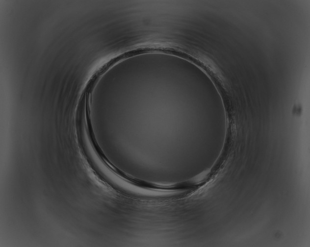 X0000091641030200708301354