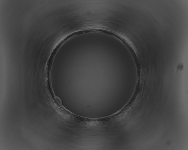 X0000091641031200708301354