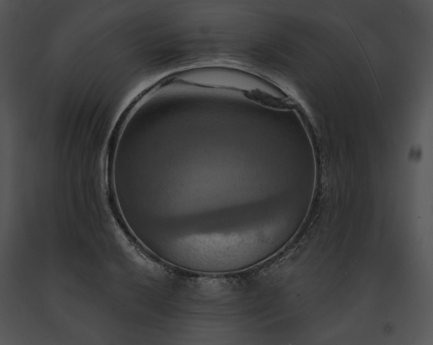 X0000091641032200708301354