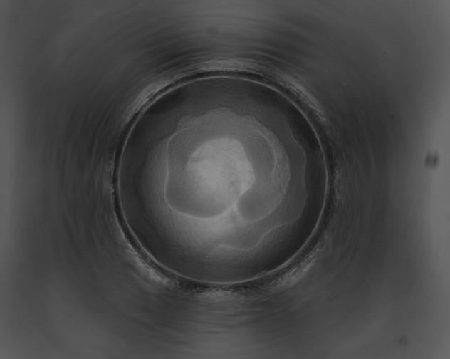 X0000091641033200708301354