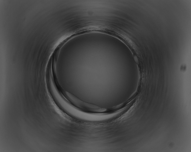 X0000091641034200708301354