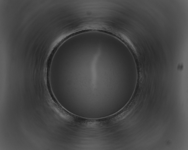 X0000091641035200708301354
