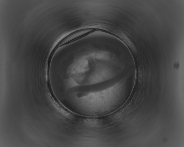 X0000091641036200708301354