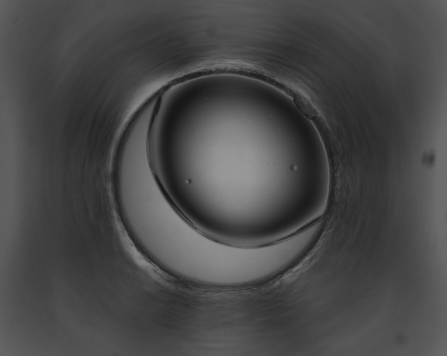 X0000091641038200708301354