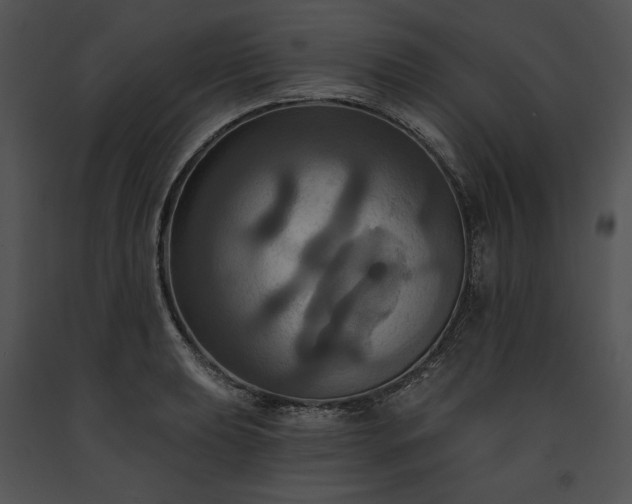 X0000091641039200708301354