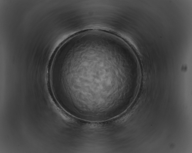X0000091641040200708301354