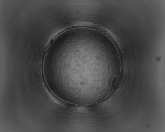 X0000091641041200708301354