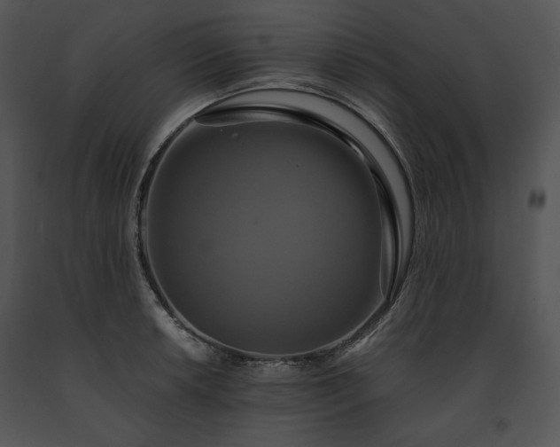 X0000091641042200708301354